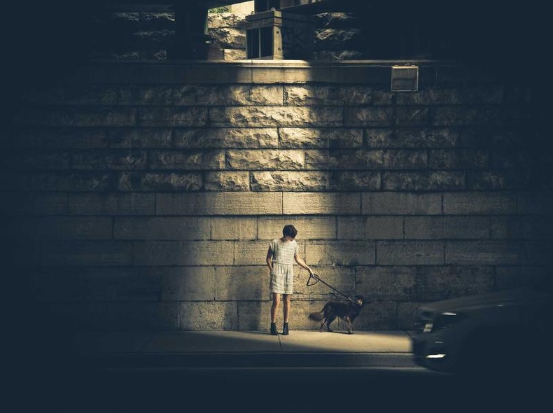 夸克浏览器高考频道:2026志愿填报与查分神器